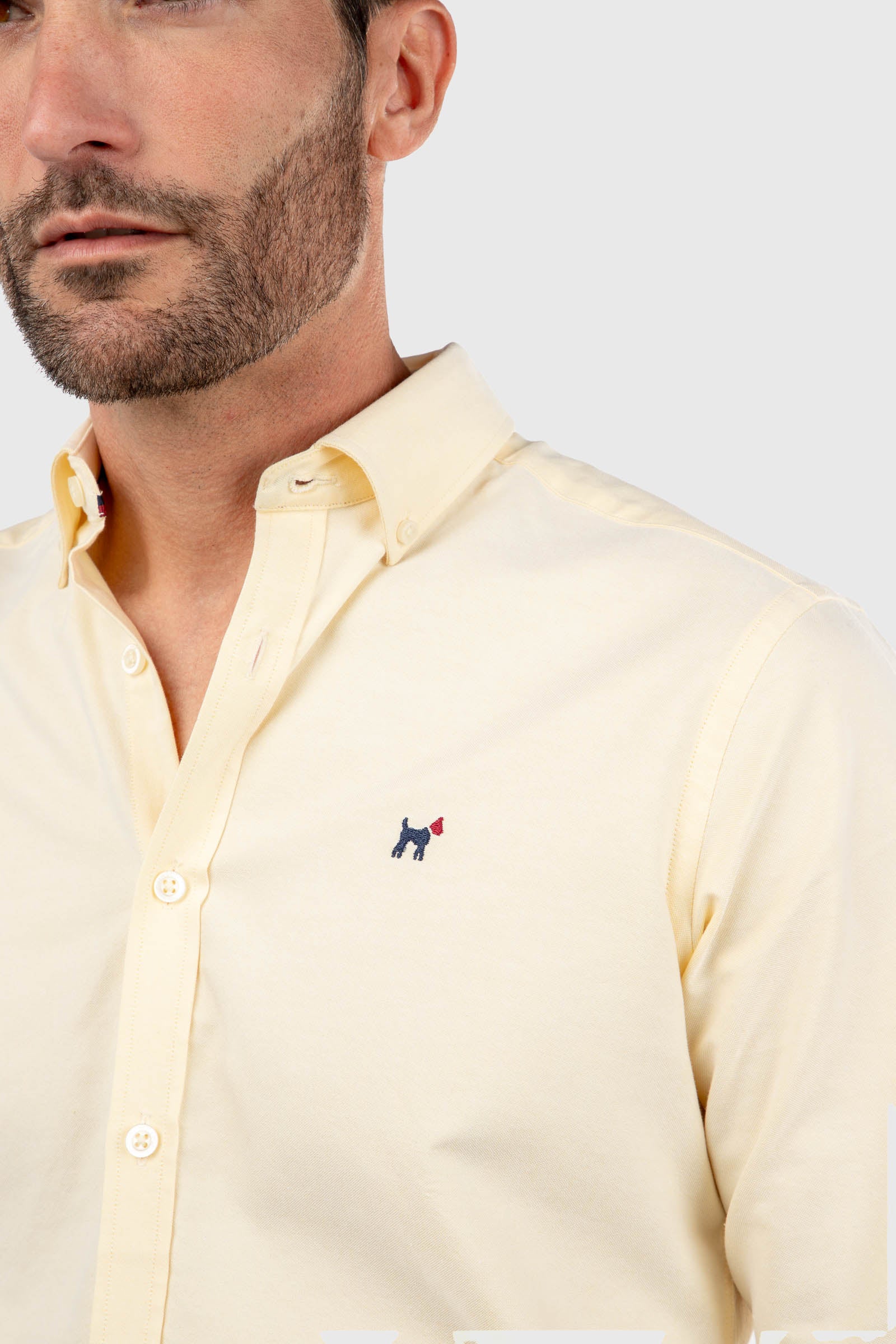 Camisa Oxford Slim Fit Amarillo