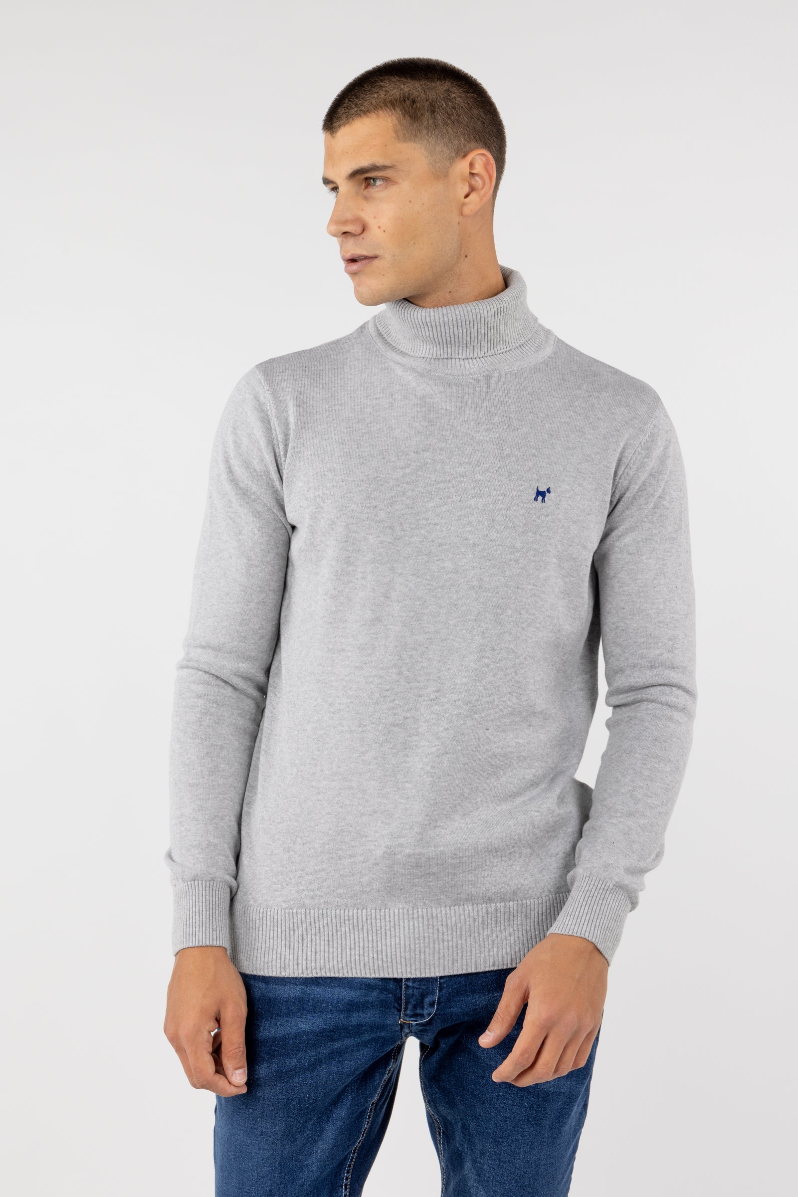 Jersey Cuello Vuelto Gris