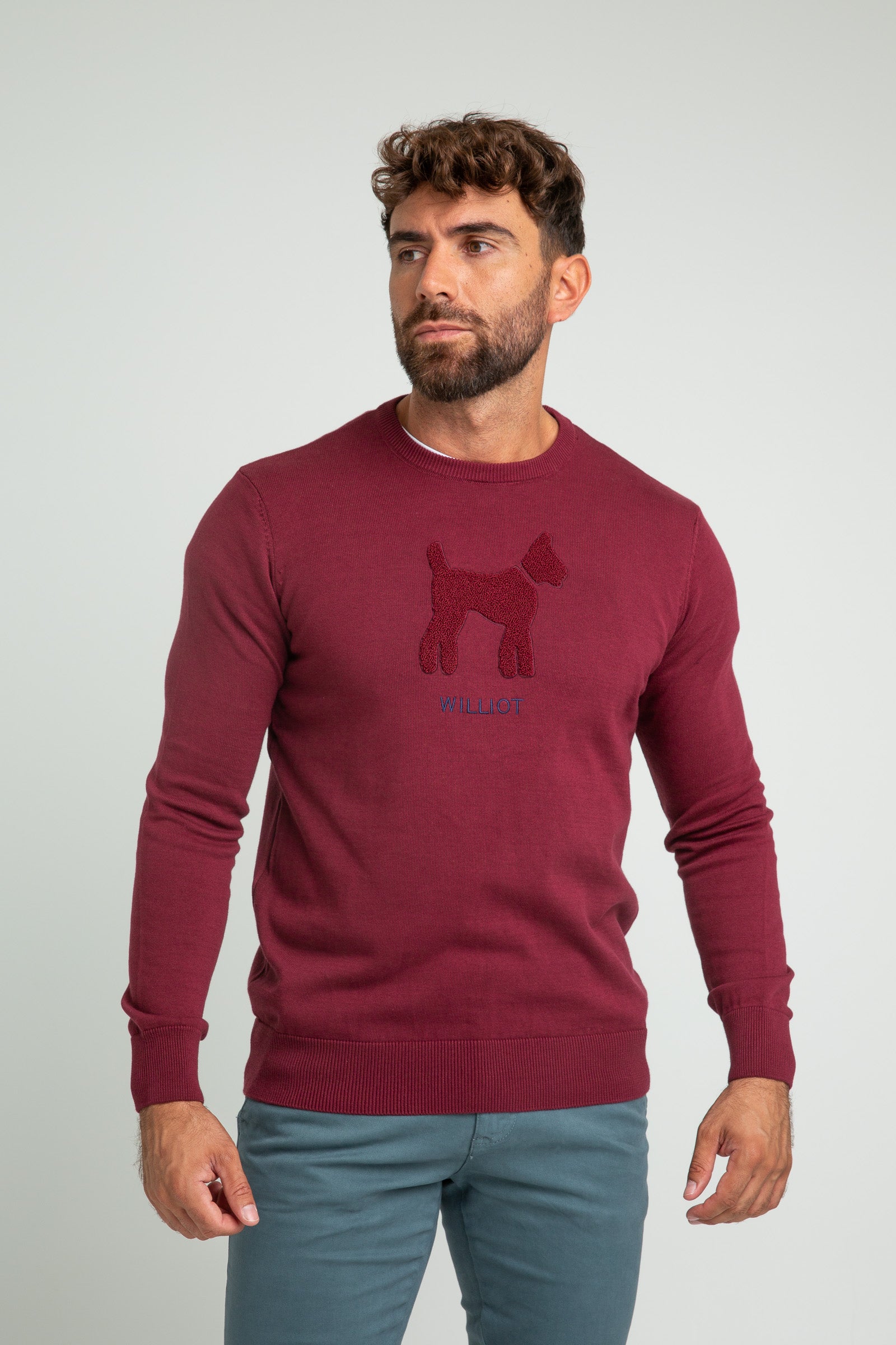 Jersey Doggy Burdeos