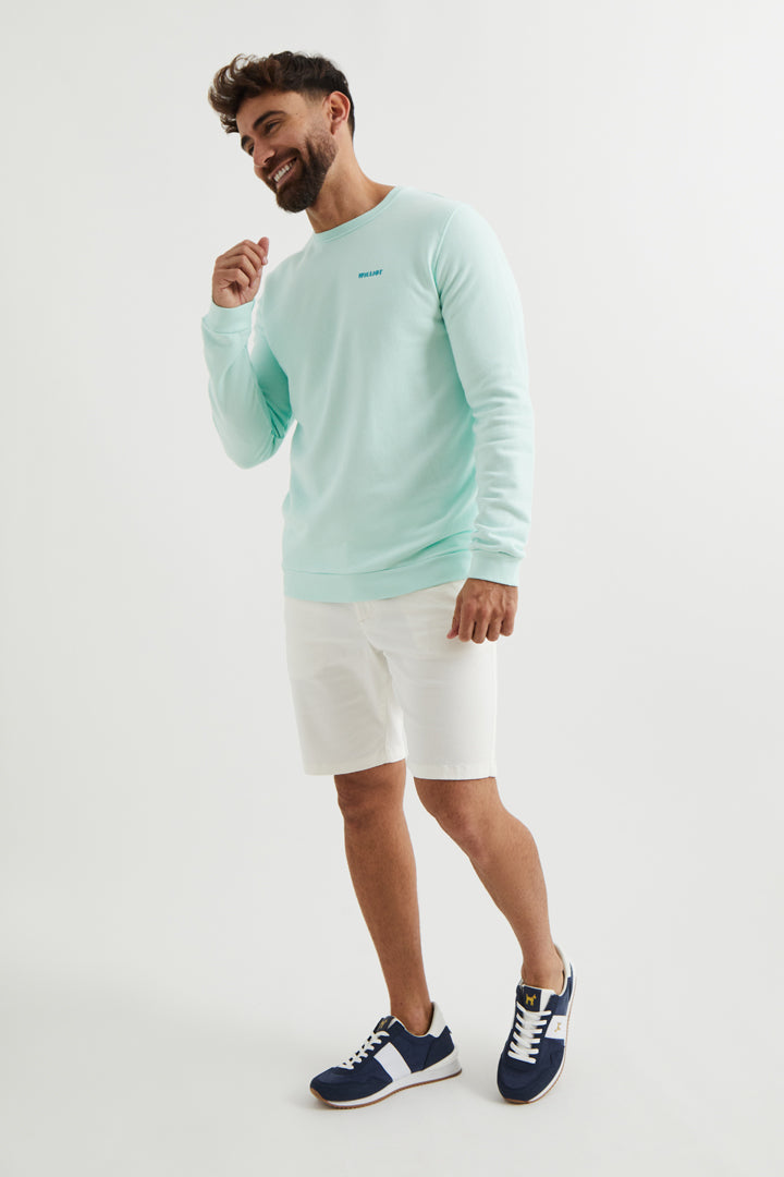 Sudadera Washed Summer Elements