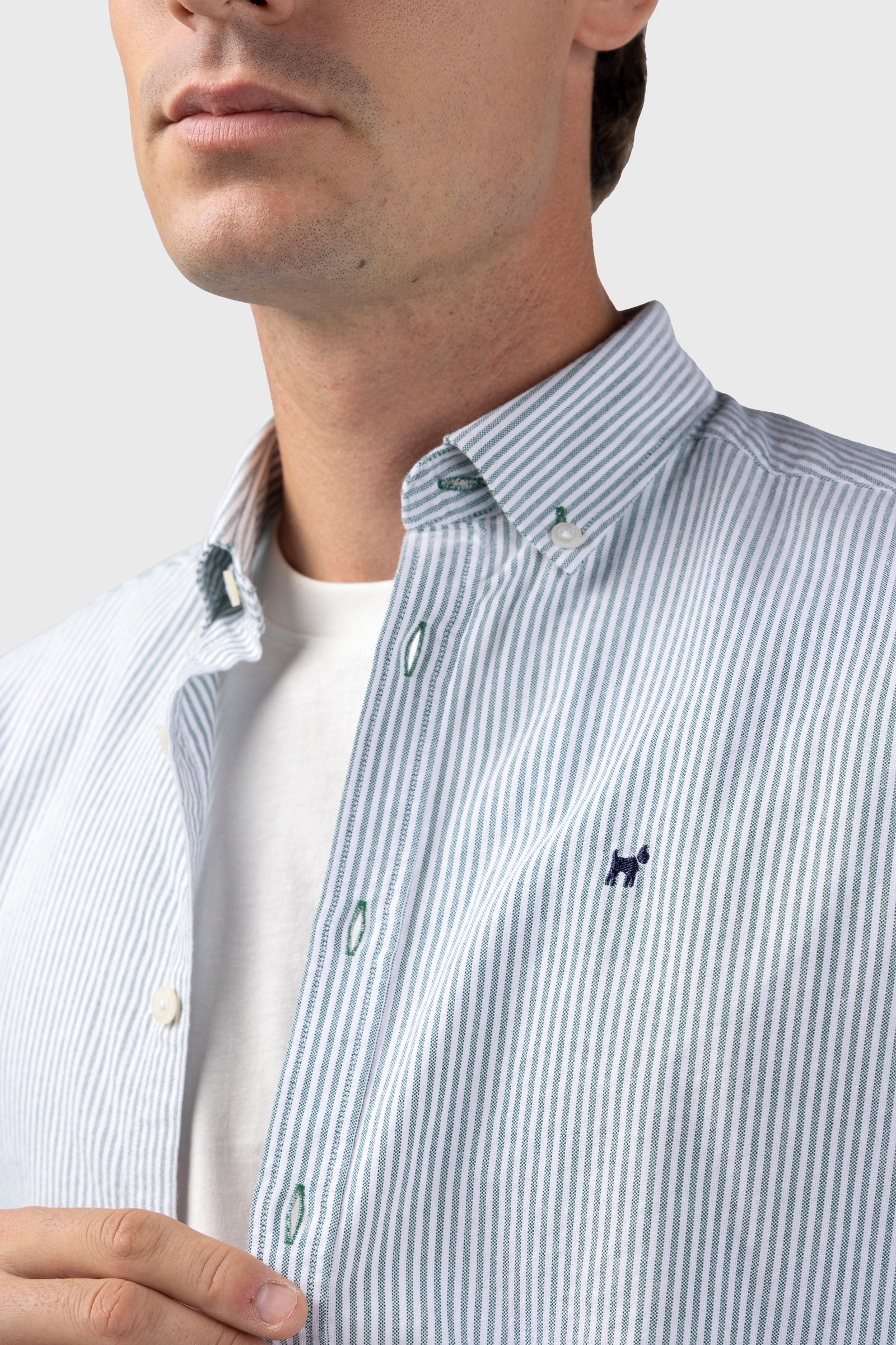 Camisa Raya Oxford Verde