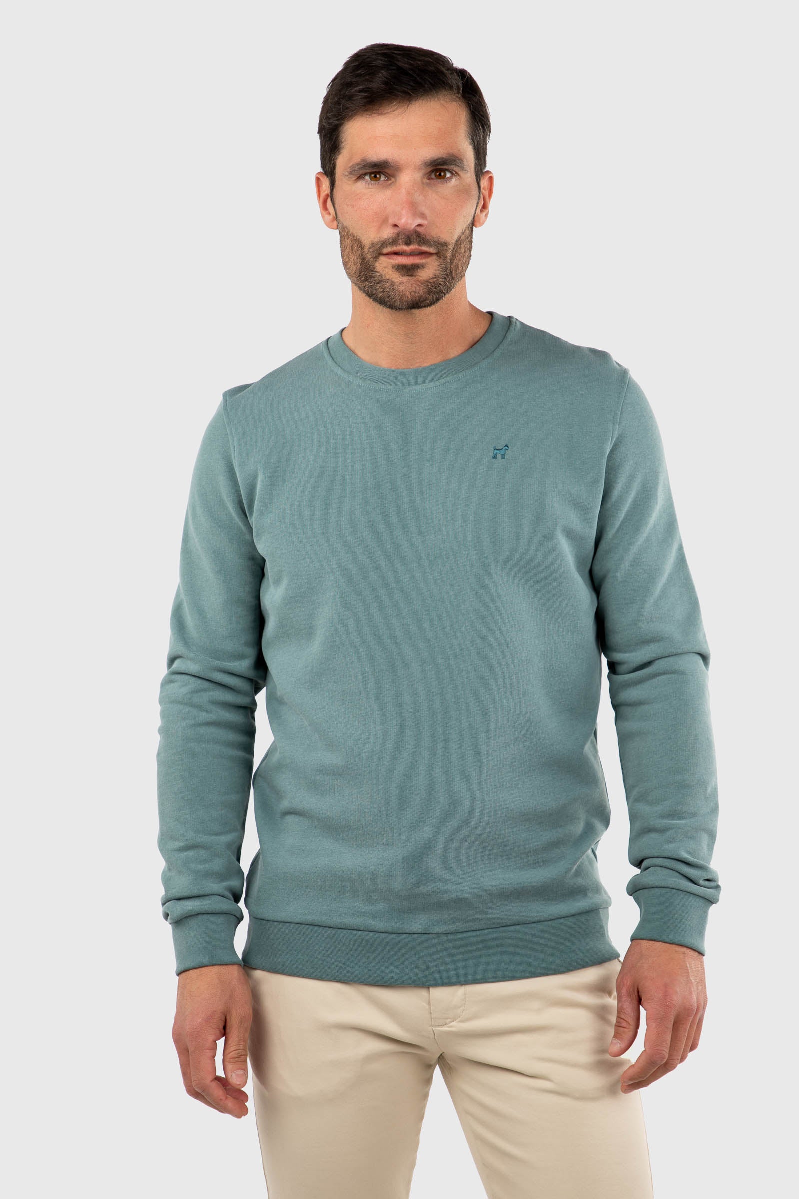 Sudadera Lavada Fade Out Verde Botella