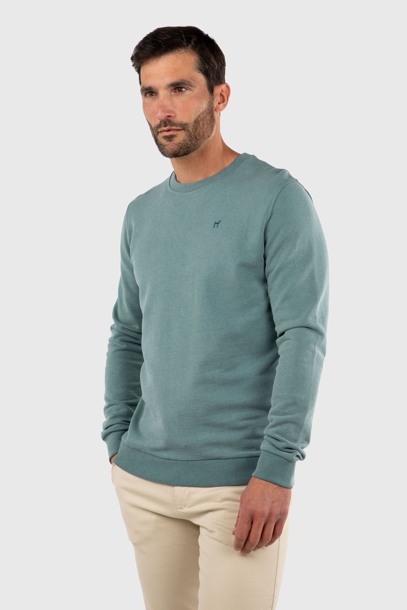 Sudadera Lavada Fade Out Verde Botella
