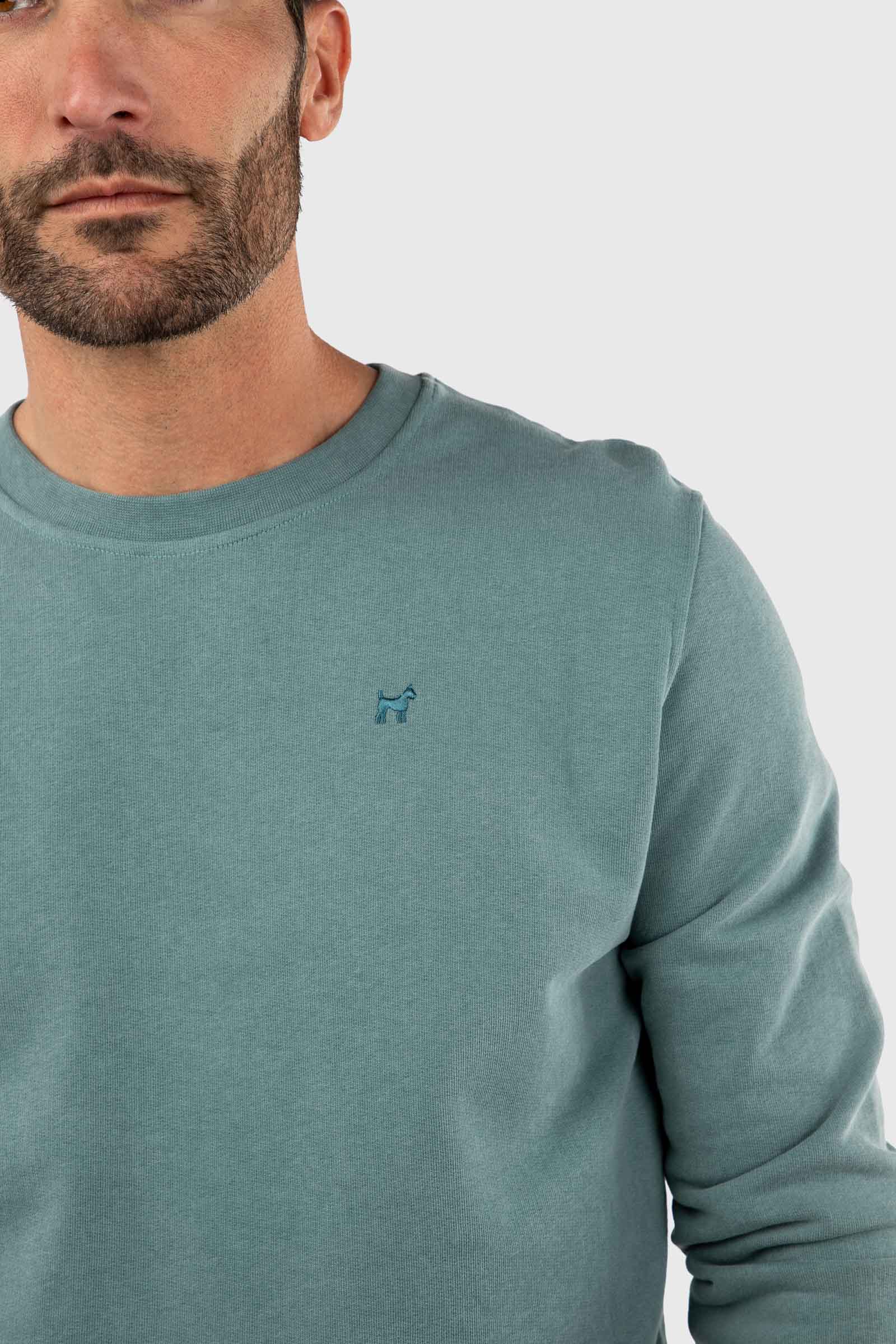 Sudadera Lavada Fade Out Verde Botella