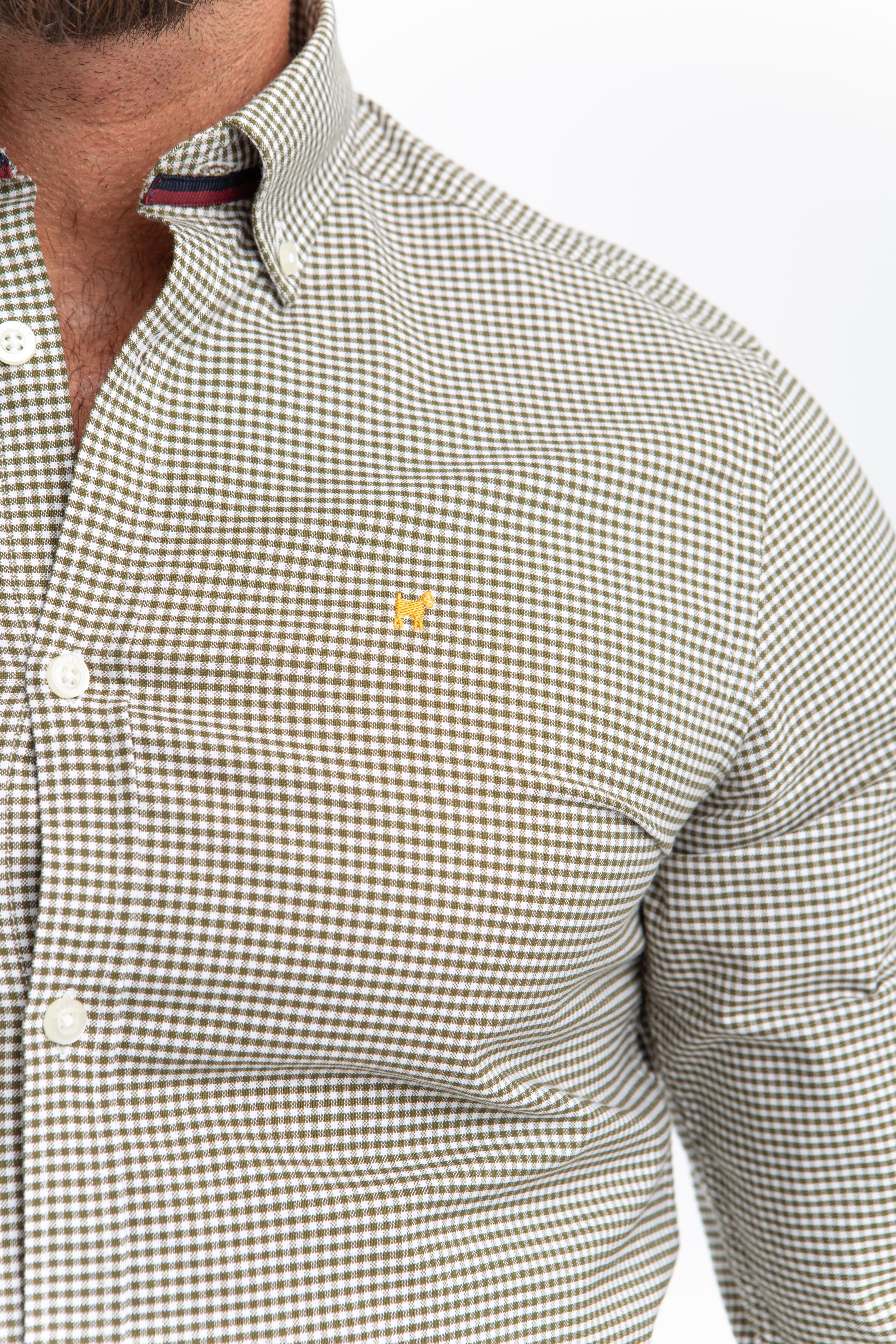 Camisa Vichy Oxford Verde Botella