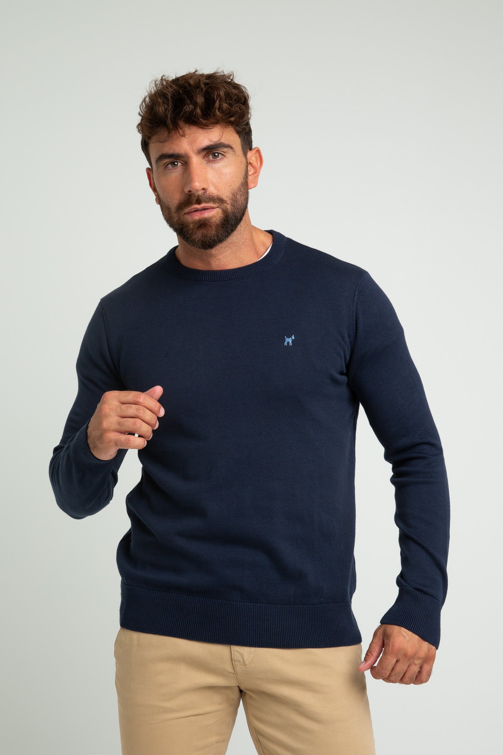 Jersey Cuello Redondo Marino