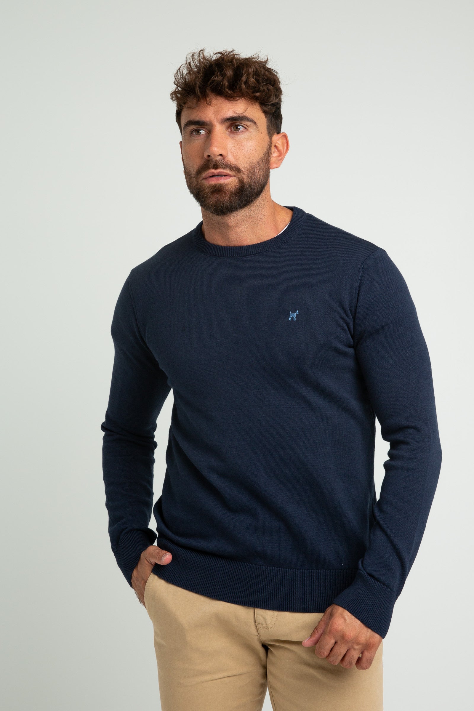 Jersey Cuello Redondo Marino