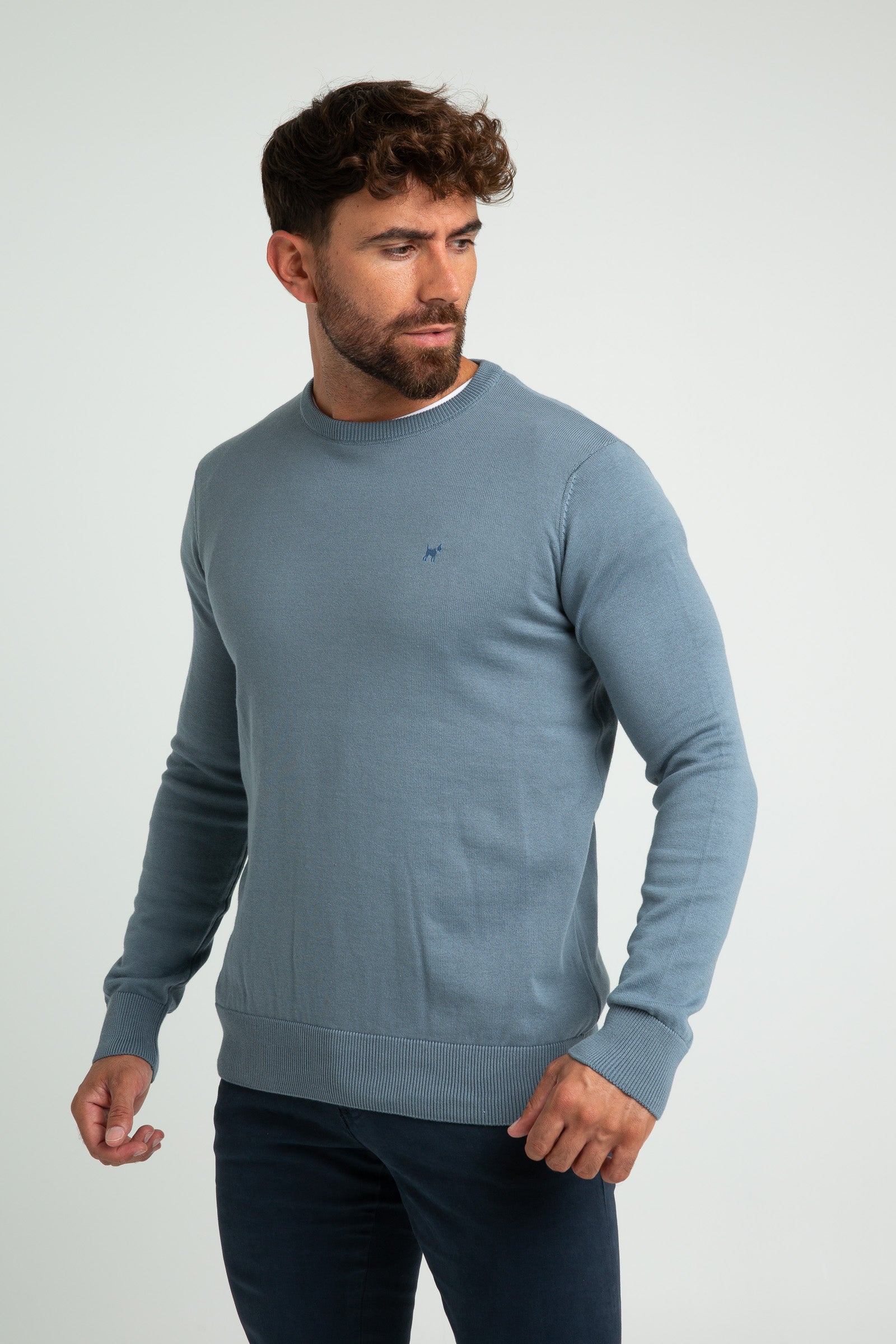 Jersey Cuello Redondo Azul