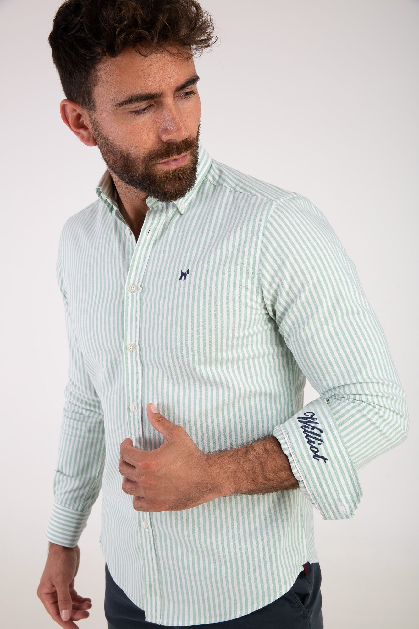 Camisa Raya Oxford Verde Agua