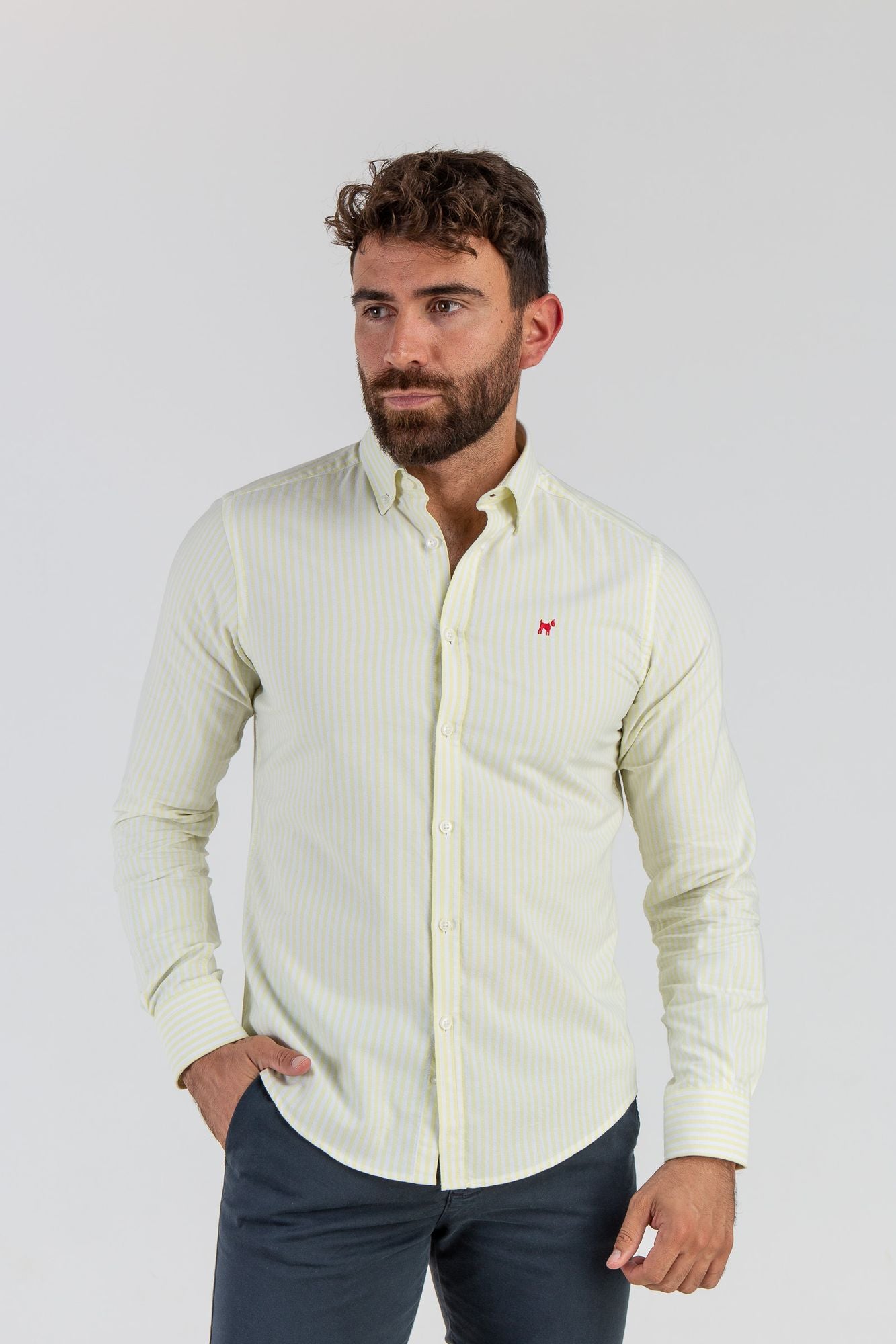 Camisa Raya Oxford Amarillo Suave